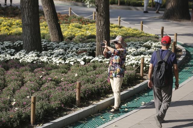 北京植物园市花展国庆开幕，40万鲜花将汇成“花海”