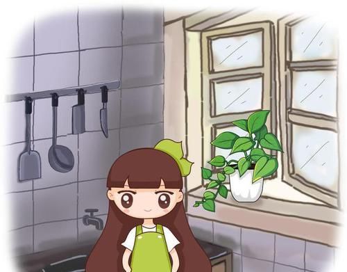  #叶冷水花#几种适合放在厨房的花，吸油除尘，健康又美观