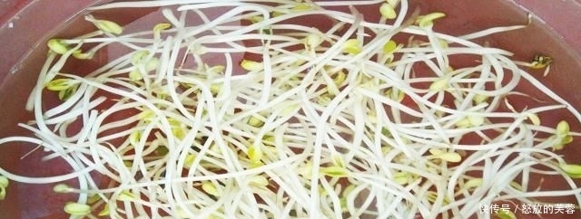  1斤：豆芽麦粒加这些做窝料，发窝快留鱼久，湖库钓鱼必备
