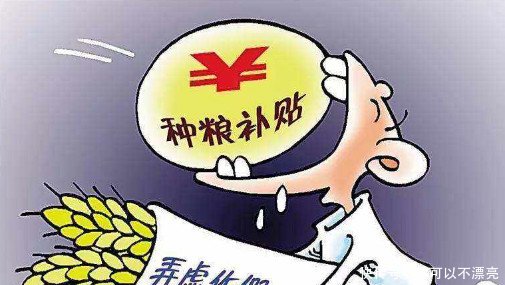 今年粮补已定，6月30号前全部发放到位，四种情况没有补贴！