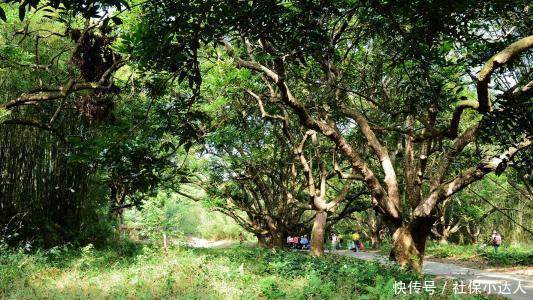  延迟退休■对于没有退休金的农民来说，怎么样生活？