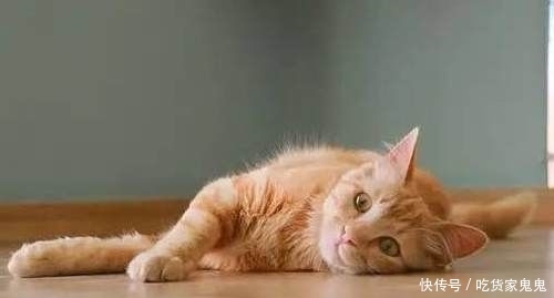 杯水■你以为明星和网红真的只需每天八杯水吗?