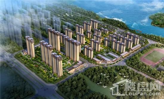 地王项目---民泰龙廷贵府效果图户型图流出 或