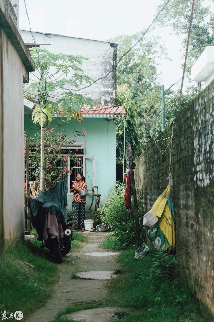 尼泊尔奇特旺国家森林公园