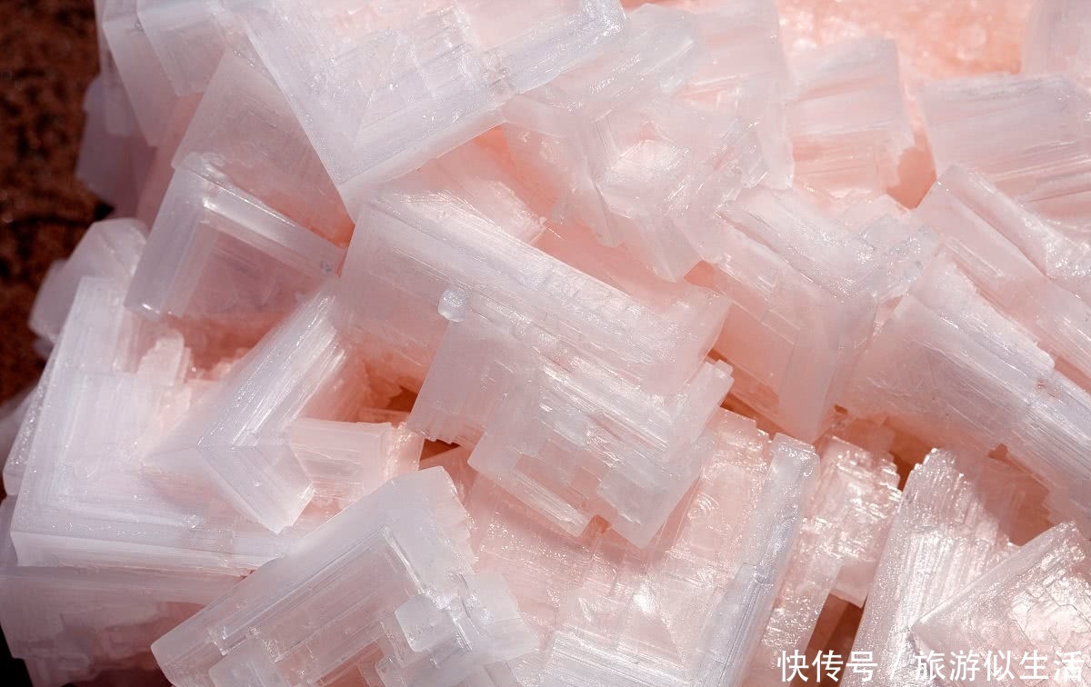 中国三元一斤出口，日本60元一克再卖回来，遭到大批旅客抢购？