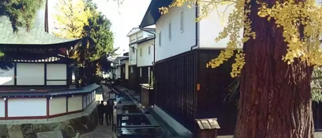  木匠：日本乡村改造给中国的启示
