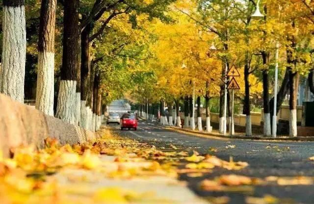 出发 | 金秋十月，这5个地方藏着中国最美的秋色！