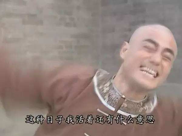 “锦觅仙子”杨紫搭配“道明寺”王鹤棣?如果最新版《还珠格格》