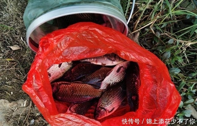『漂观』夜钓用漂观漂,选什么类型的夜钓漂,就要用相应的调漂思路