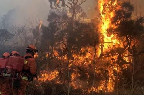 澳大利亚大火是人为吗