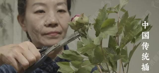  传统■花儿非遗大课堂进校园 ▏中国传统插花尽现雅趣之美