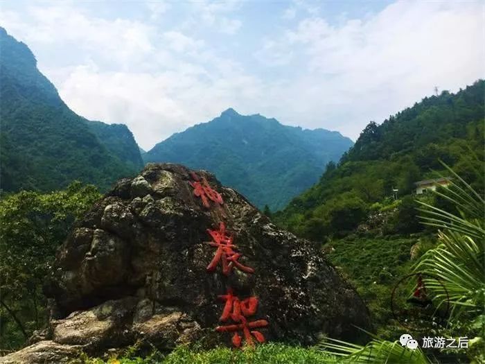 湖北神龙架的“世外桃源”，如仙境般的大九湖美景，风光旖旎