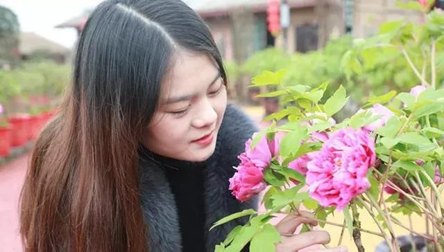 太美了！内江这个地方将有10万余株鲜花竞相开放，免费看