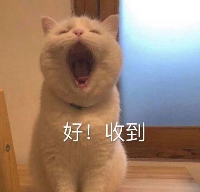  [变小]你也是什么脸型就戴哪些近视眼镜，选好一瞬间变小脸