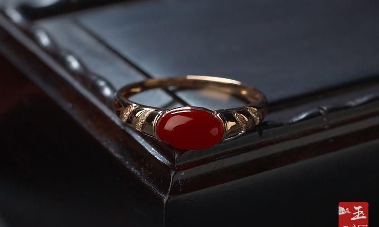  「小常识」珊瑚保养小常识介绍，这些珊瑚保养方法你都知道吗？