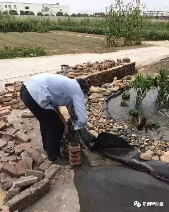 庭院设计|农村大叔手把手教你，一个人挖池塘，小院从此美美的