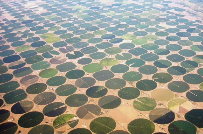 世界反差最大国家：石油产量世界第一，全国80%土地却用来种地