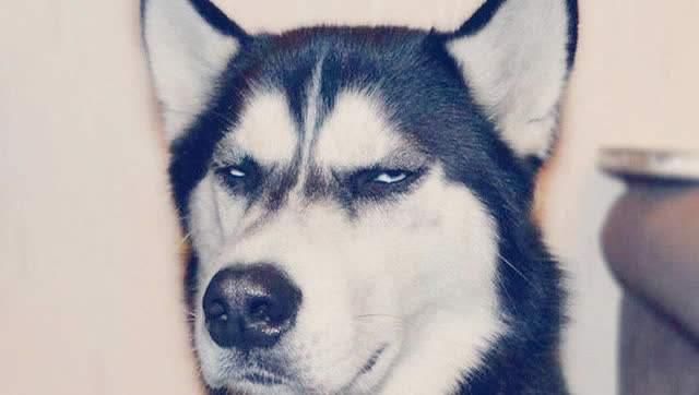 假疫苗事件：当暴利行业造假，谁之过？