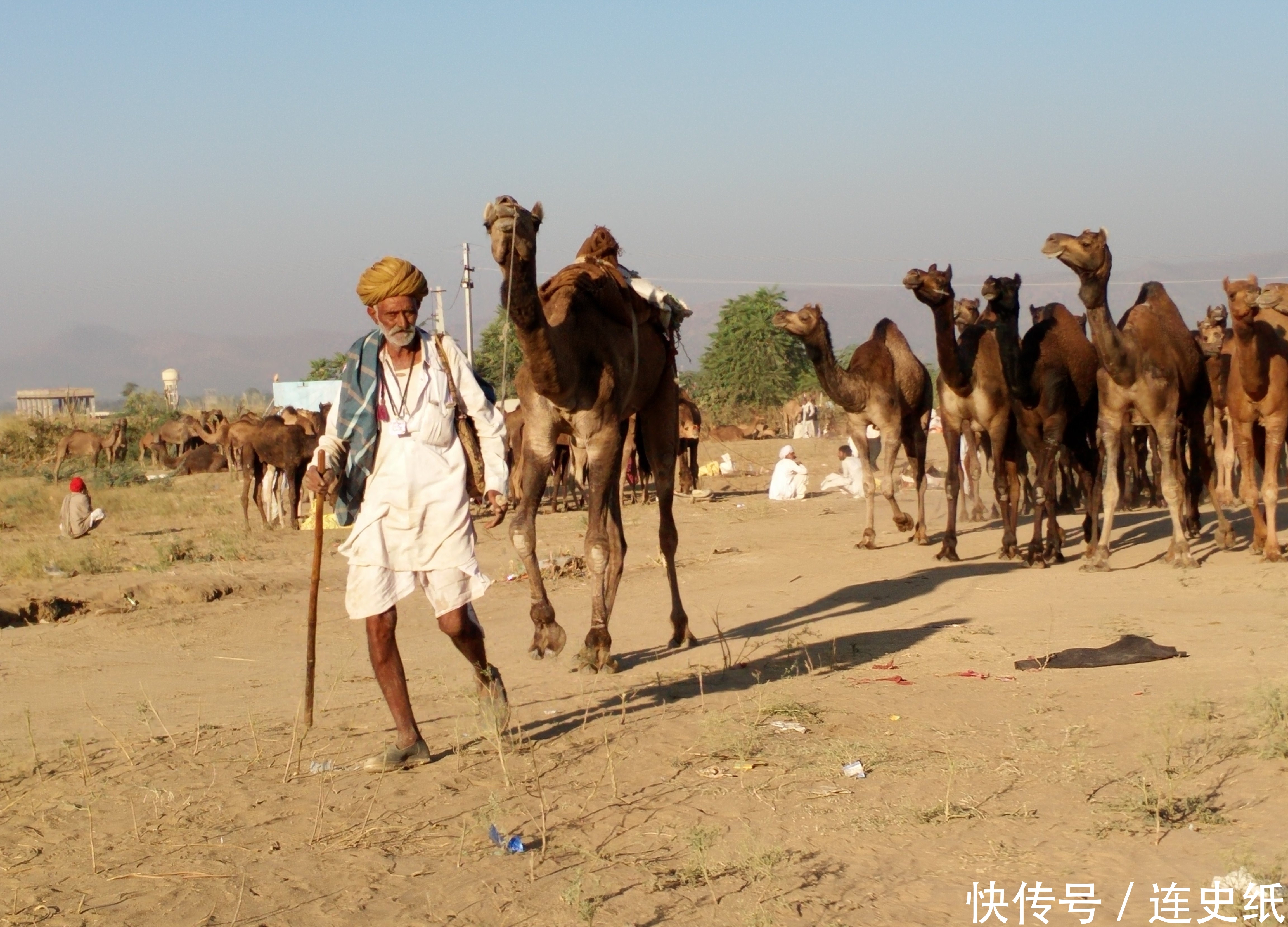 印度人坐中国火车，乘务员愣住了，印度人还问：你们不是这样吗？