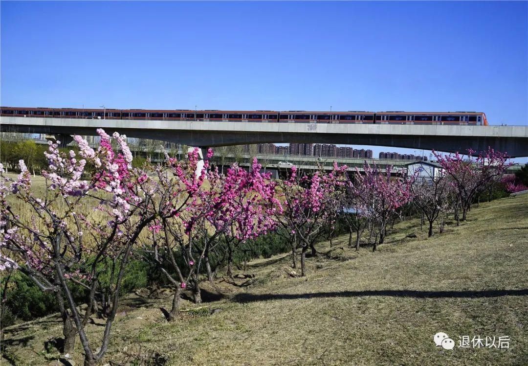  「长阳农场」旅游 | 滨水森林公园，点亮房山新城