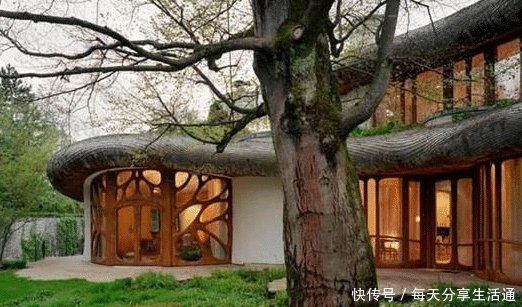 看完德国的富人区,再看中国的富人区,一个住富豪一个住土豪