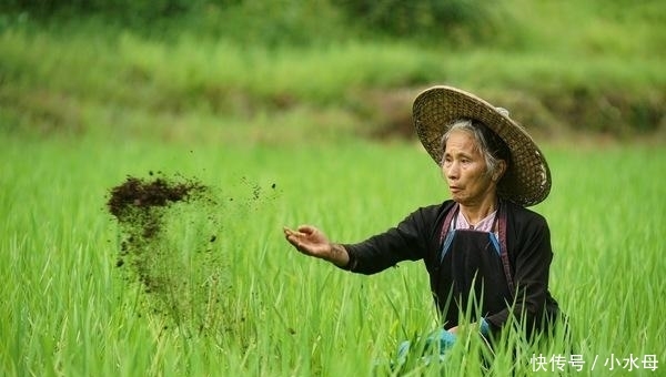 十年之后，农村还有谁在“留守”？这3类人可能性最大，有你没？