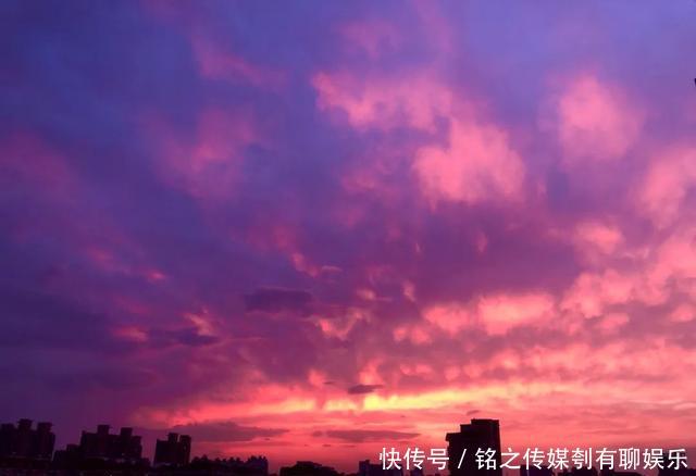 平均气温大于22℃:昨天,上海因为它登上热搜!美到窒息……