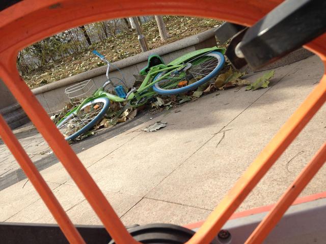 告诉你个秘密,酷奇单车客服电话为什么打不通