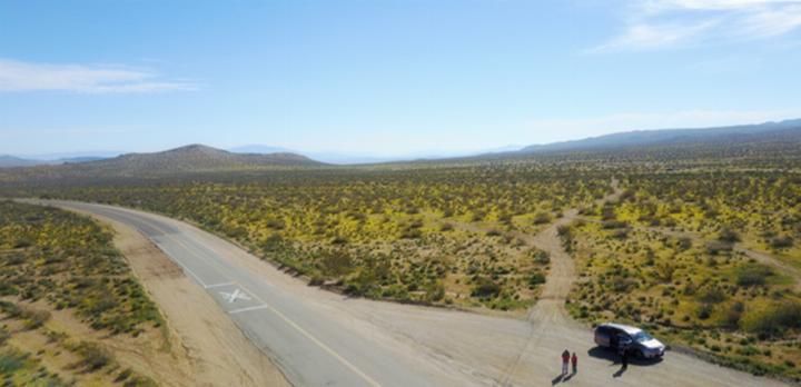 我国“最大”的沙漠：种下植物后让人惊艳，如今变成怎么样了?