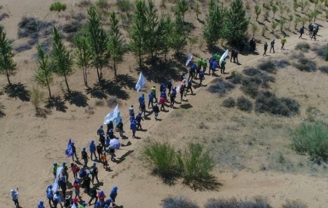 我国大力治沙几十年，绿洲面积变大了吗？事实令人难以置信