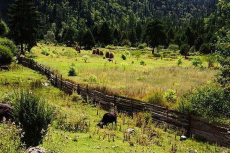 中国最高的秘境，外国人禁止入内，国人需持特殊证件进入