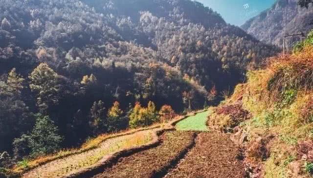 浙江不只有江南烟雨,这10个地方藏着浙江的绝美秋景