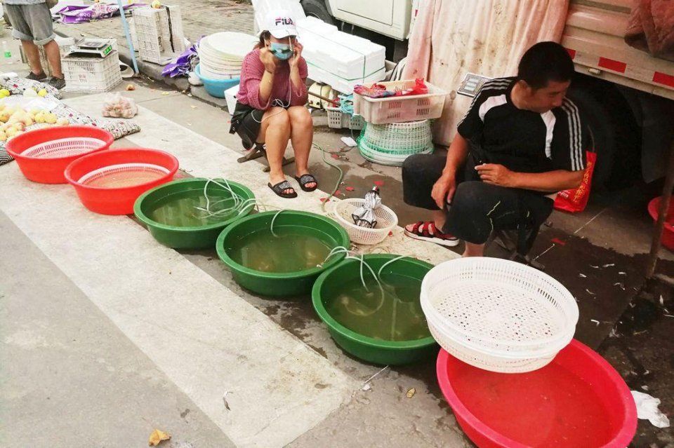 海鲜摊贩说 自从卖上梭子蟹 家里就没吃过活的 每天4个小时坚守