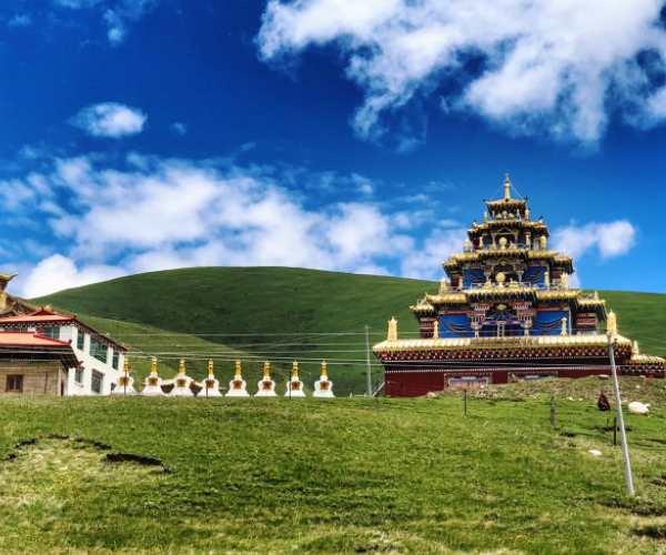 中国最大的“尼姑庵”,拥有2万多名女尼,晚上有项规定非常特殊