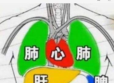  「准妈妈」准妈妈到底能不能用护肤品？