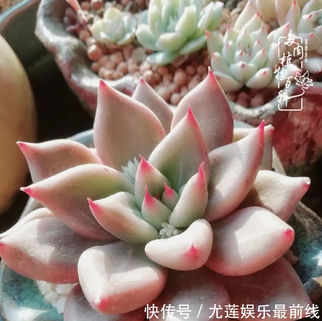  『那种』我爱的，就是你的存在！只要努力该来的都在路上！