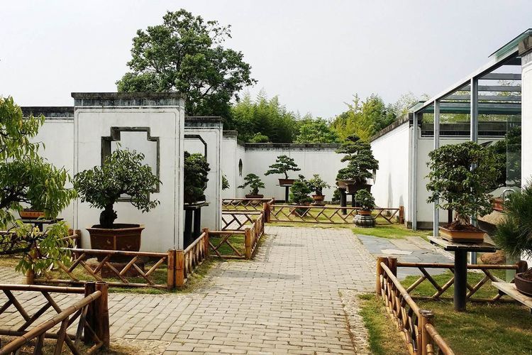 这个景点号称东方园林之母，曾上榜吉尼斯，却不在苏州！