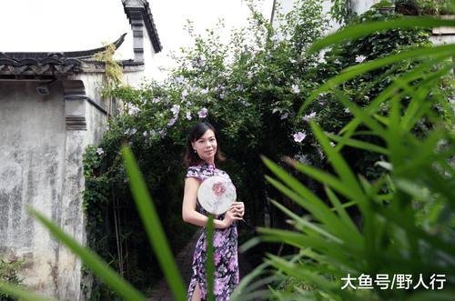 周庄旁边的古镇才是苏州最美古镇,被称为“小苏州”却鲜有人知