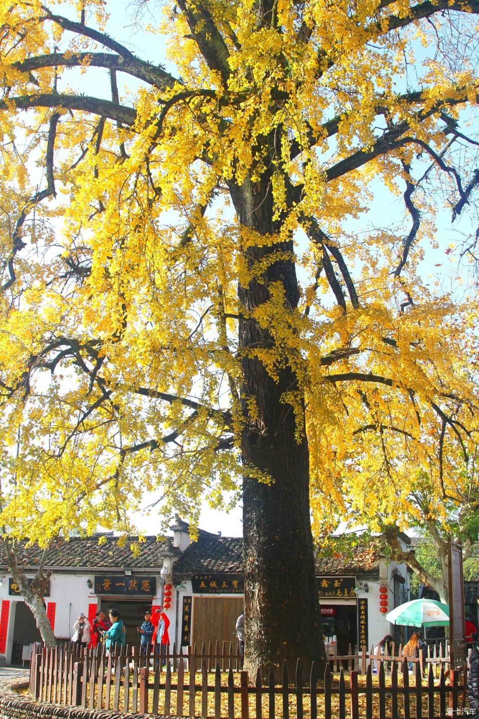  「画桥」梦里徽乡，诗意宏村！