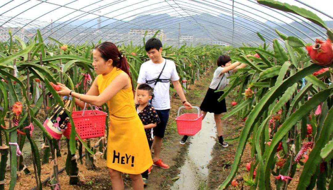  「城市」未来几年，农村将涌现3个“聚宝盆”，有人已经赚到钱，不妨试试