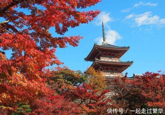 在日本住宿,碰见有穿“西装”的美女敲门不要开,老板也不愿接待