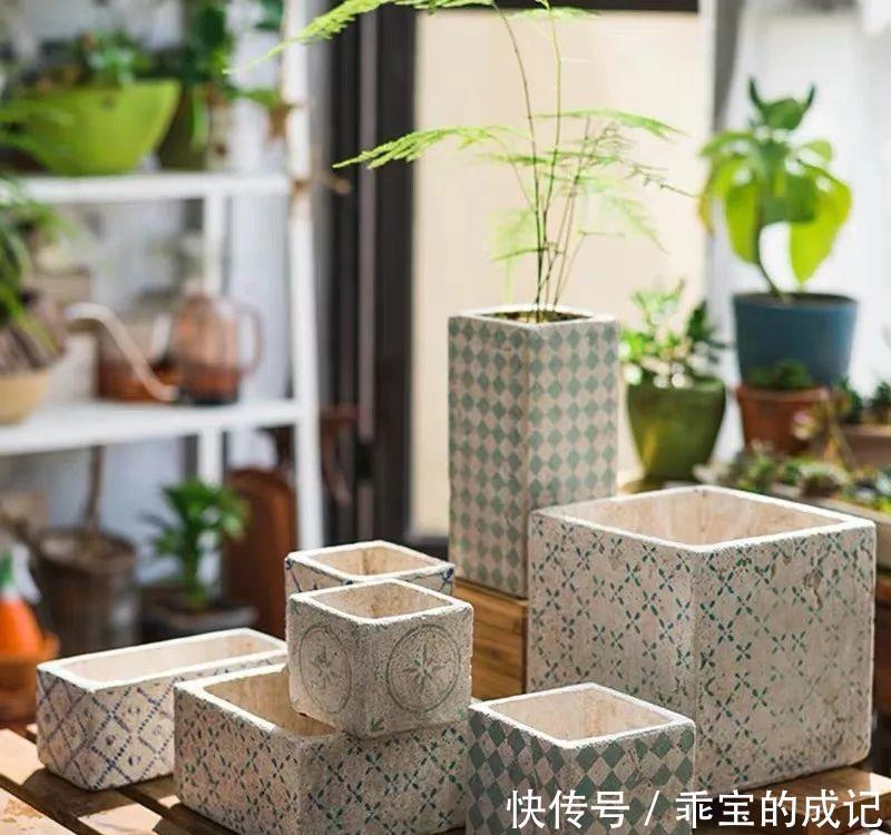 室内空气■冬天室内太干燥学会这七个加湿的小方法,再也不担心叶子干尖发
