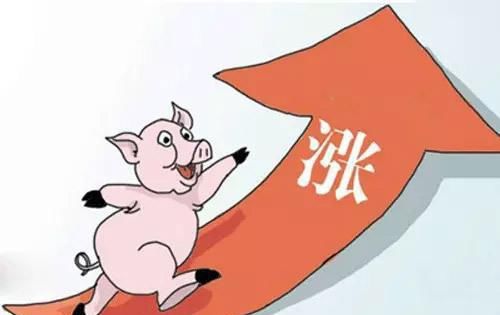 专家说房子涨价是好事，那今猪肉涨价是好事吗？农村小哥回怼专家