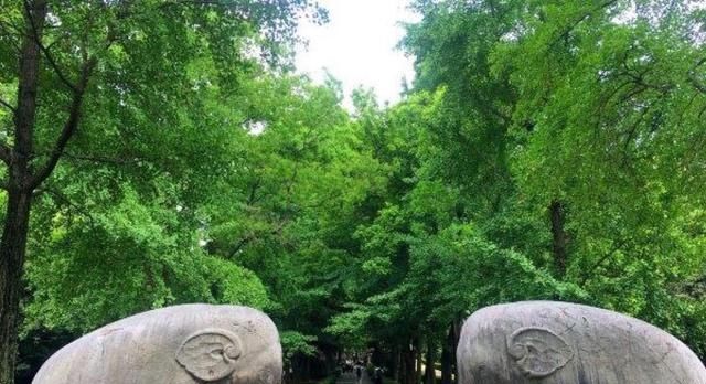 中国“最大方”的省会城市，高铁、地铁都往省外建，省内反被遗忘