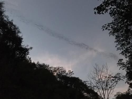 偏远农村一座古庙,300多万只蝙蝠,成了这里的住客