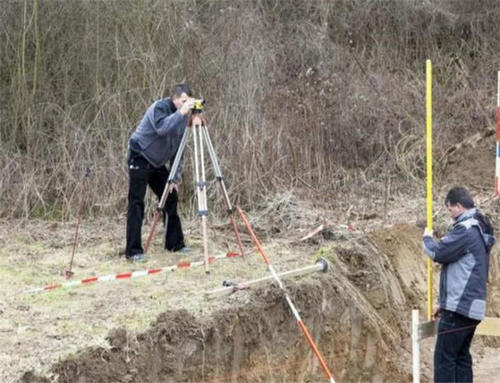  「处置」农民开垦荒地种植，这些多出来的土地，该怎么处置呢？