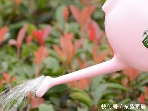 「土壤是白色」夏天养花浇一盆死一盆?学会这三种浇花小技巧,让花安心度夏