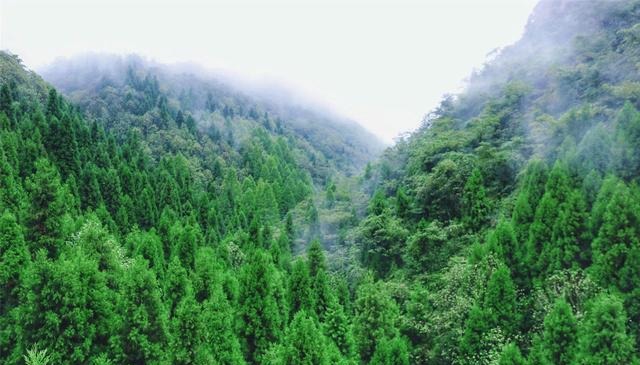 最美的不是下雨天，而是沿路看过的风景