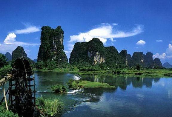 中国天价树：果子卖到五十万，另一棵价值高达一亿