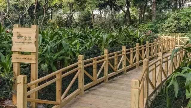 广西周末自驾游路线,一路惊喜,一路美景,体验夏天最美的样子!